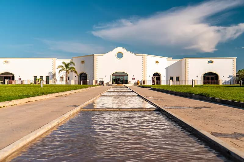 Ingresso