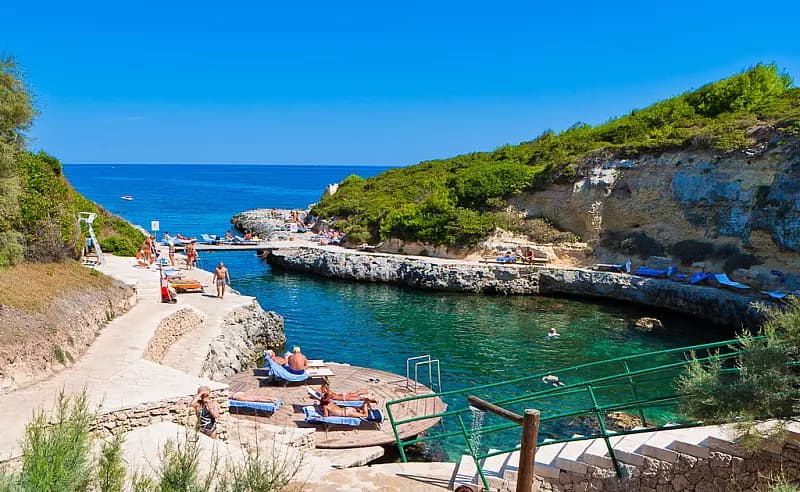 mare