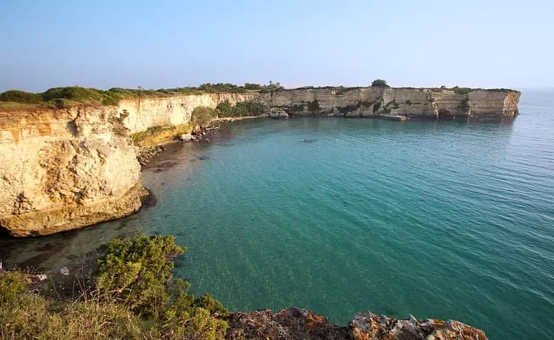 mare