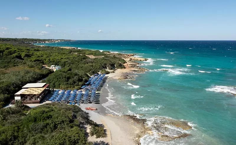 Panoramica