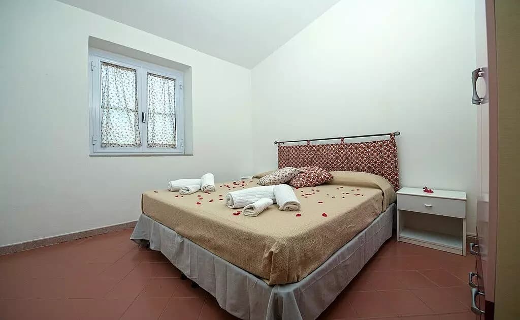 Immagine 6