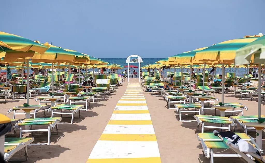 Immagine 12
