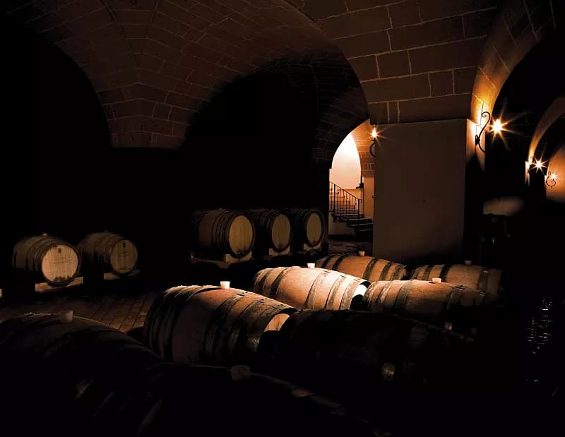 Camping La Masseria - Wine cellar