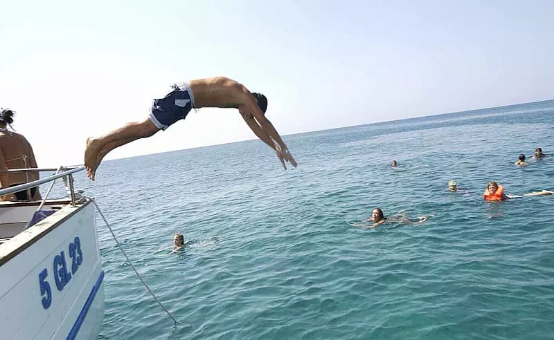 Vela