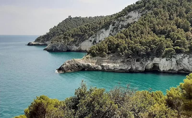 vista-panoramica