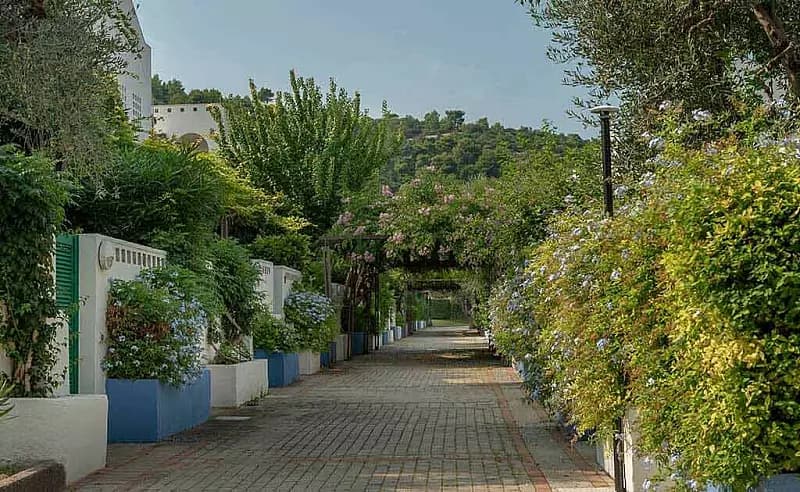 Cortile