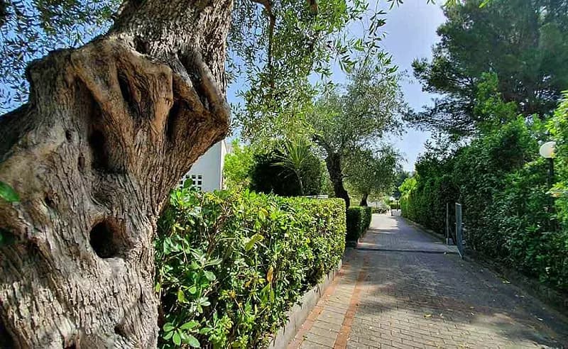 Cortile