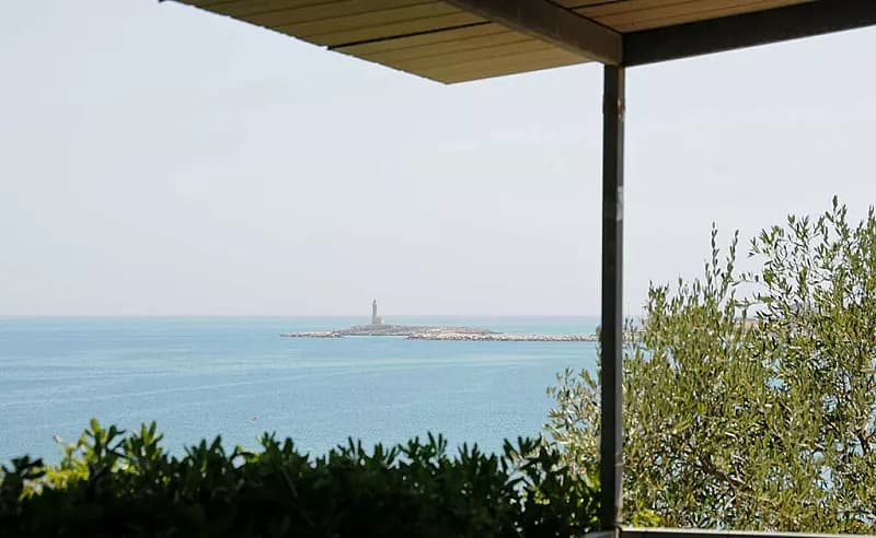 Vista