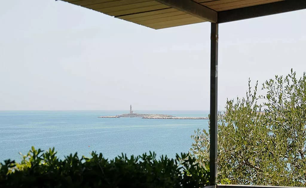 Vista