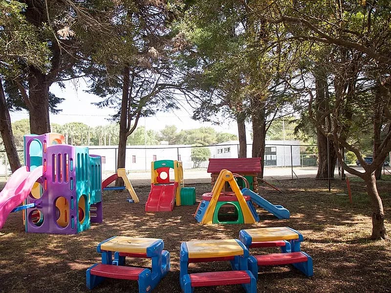 Animazione