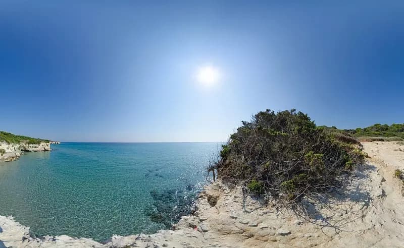 mare