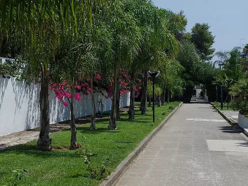 Esterno