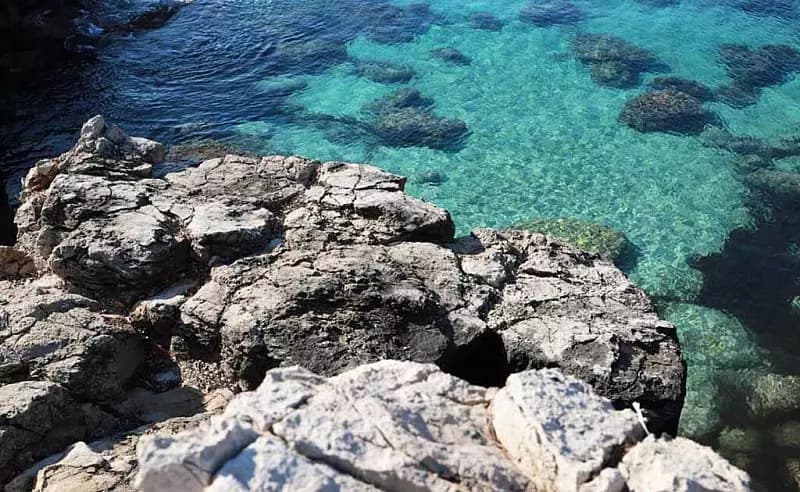 Mare