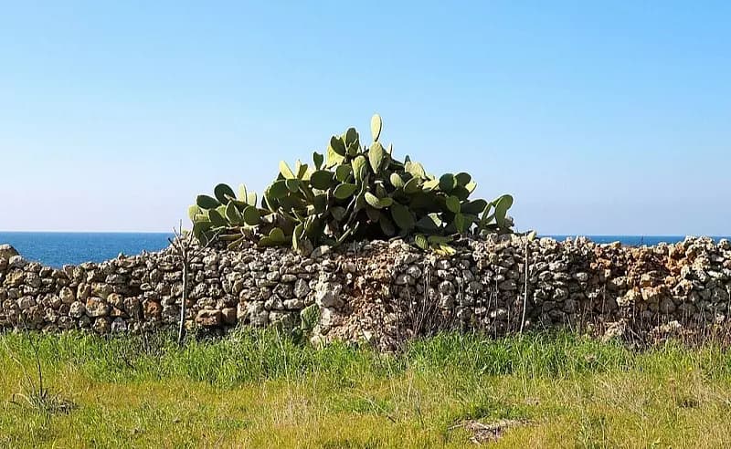 esterno