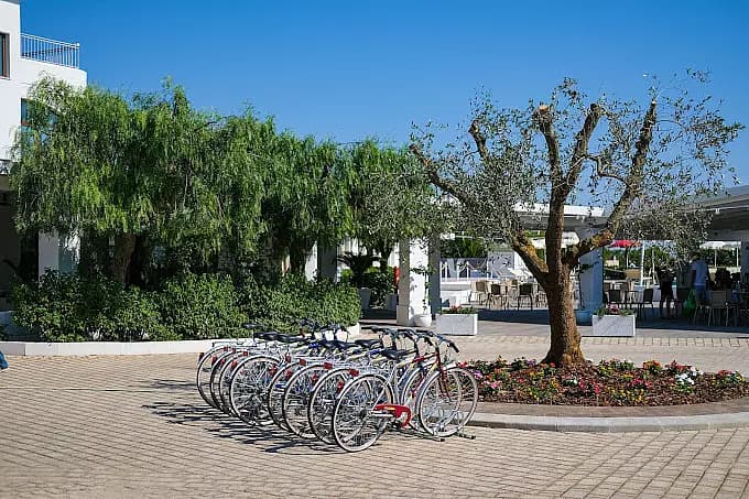 Area Esterna