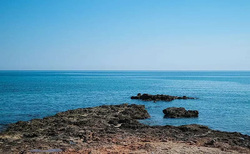 mare