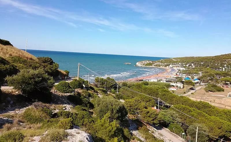Panoramica