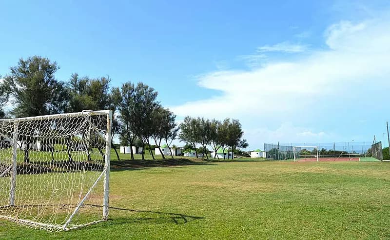 Calcio