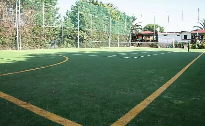 sport