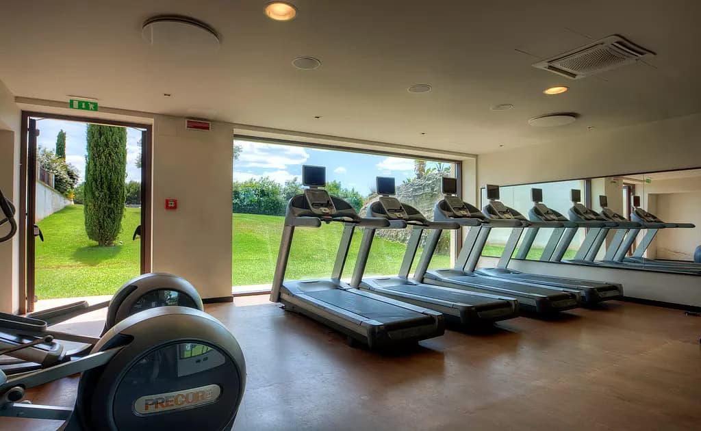 palestra