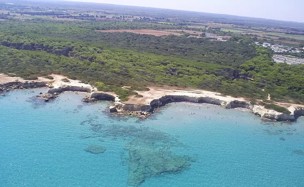 mare